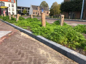 Circulaire biobased opsluitenbanden in Gemeente Haaren