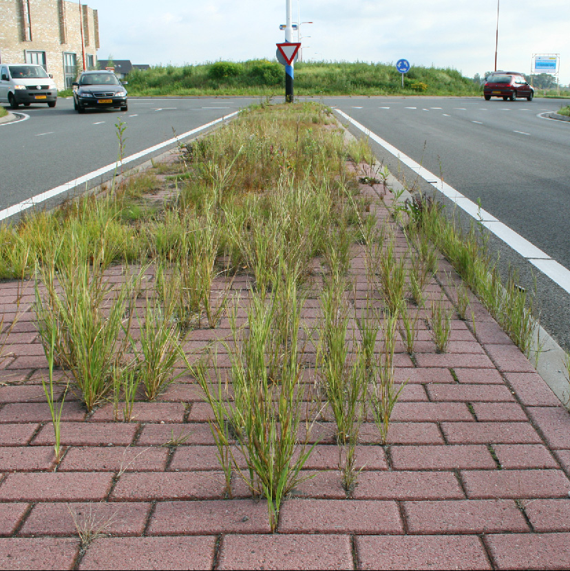 Biobased voegmortel voor onkruidvrij straatwerk