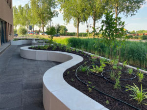 Biobased Beton en Biodiversiteit Het duurzame dakterras van Zuidelijk Halfrond Gouda