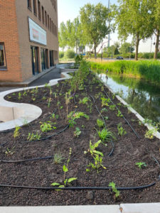 plantenbakken circulair biobased beton